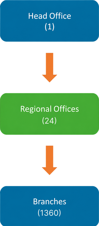 Organisational Structure