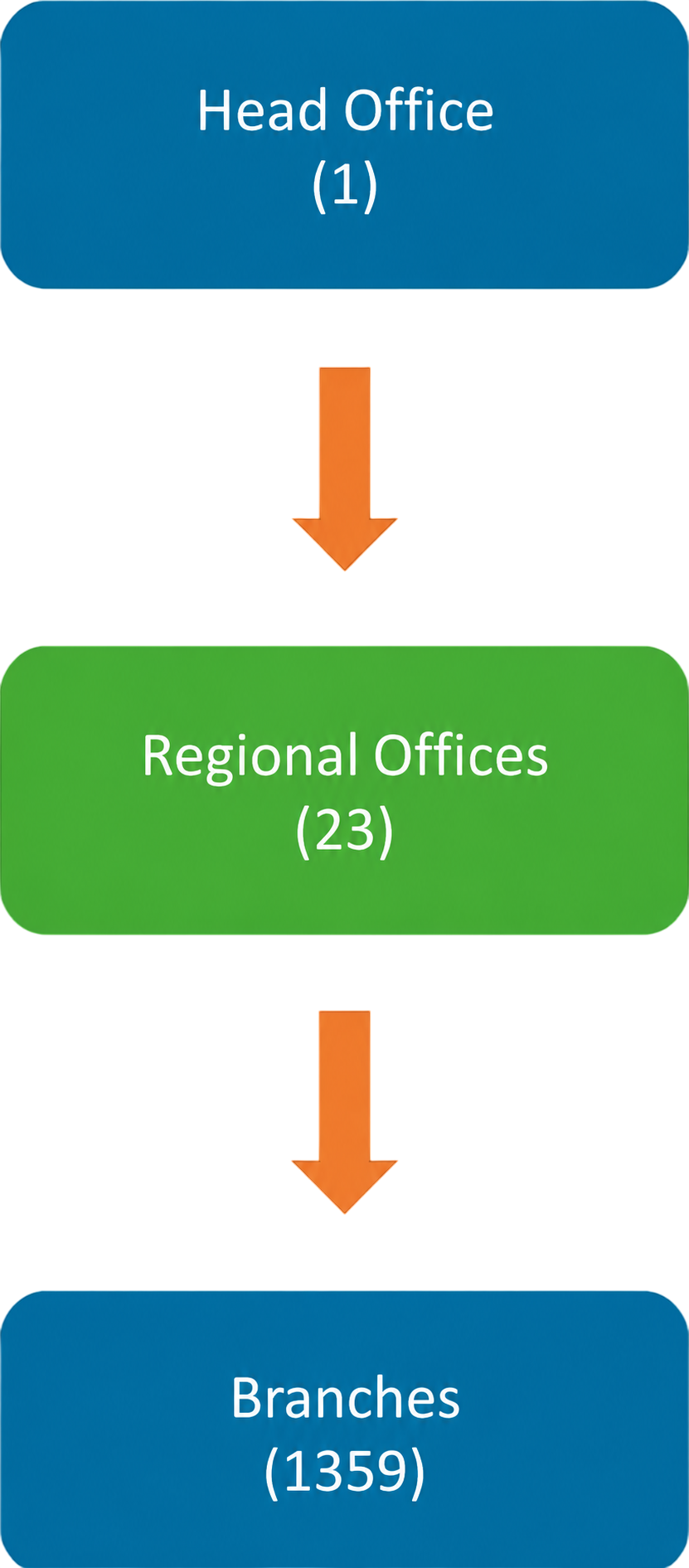 Organisational Structure